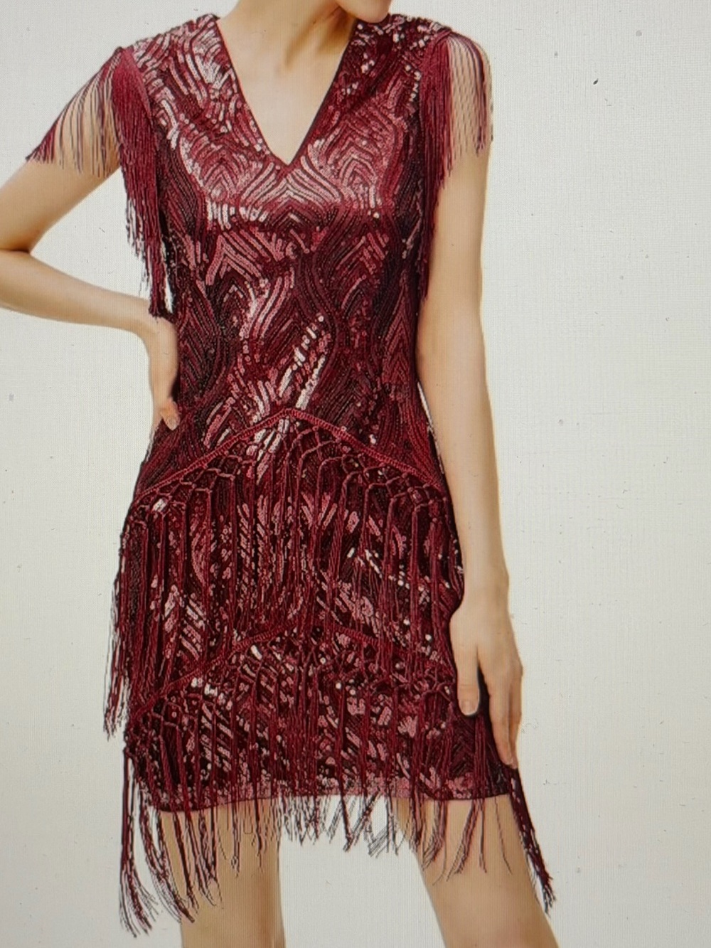 1920 Flapper Dress -Beaded Fringe V-Neck Dress - NWT Size S - Dress or Costume